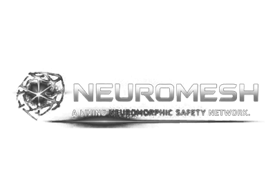 neuromoesh